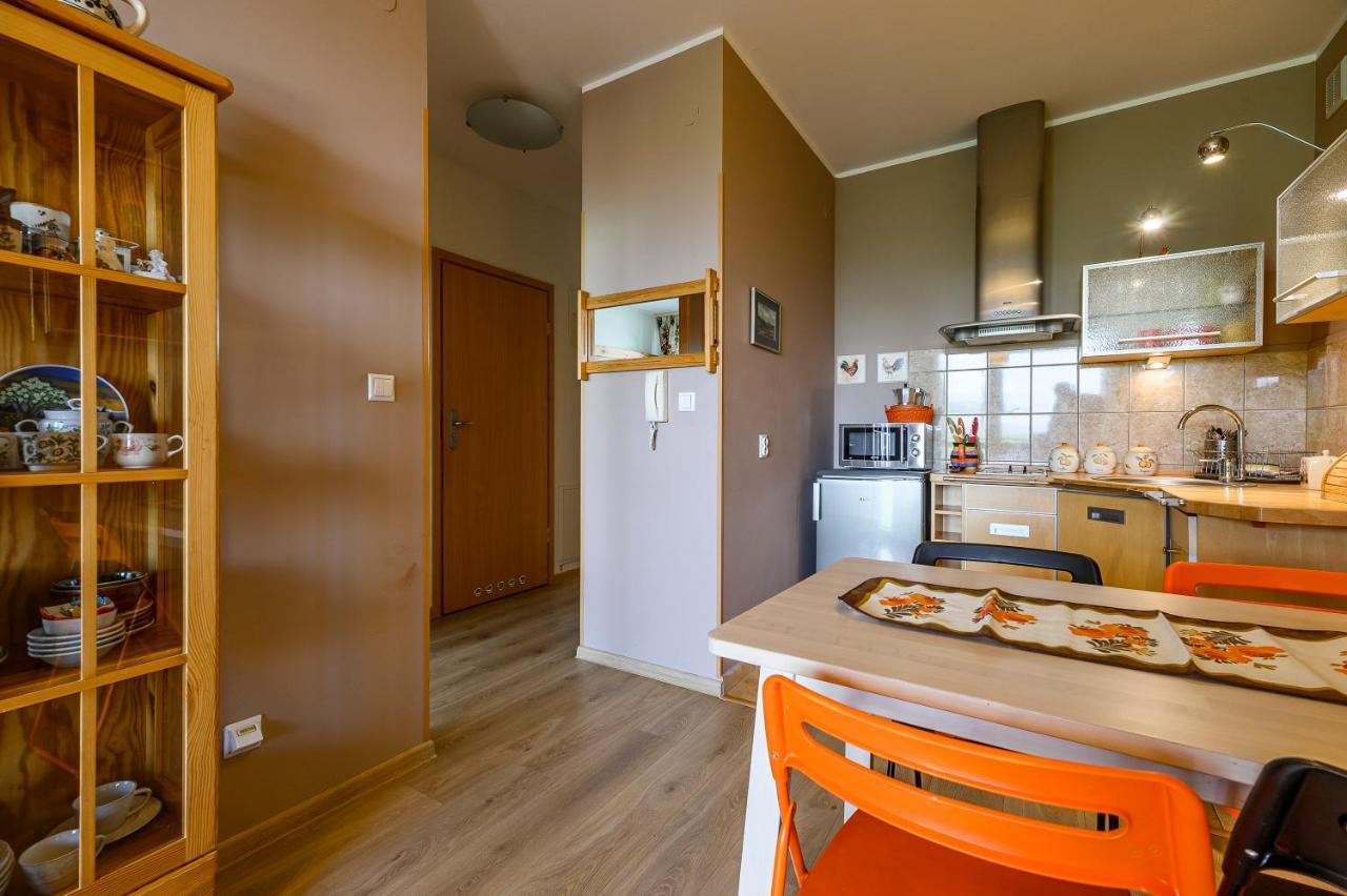 Viva Maria Apartamenty Zakopane Dış mekan fotoğraf